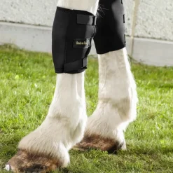 Back On Track Genouillère Droite Cheval