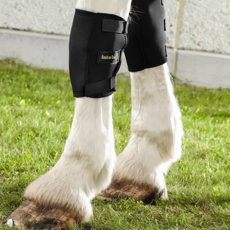 Back On Track Genouillère Gauche Cheval