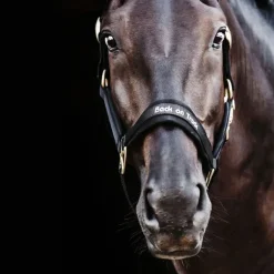 Back On Track Licol Werano Noir