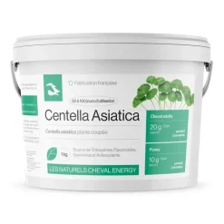 Cheval Energy Centella Asiatica