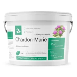 Cheval Energy Chardon-Marie