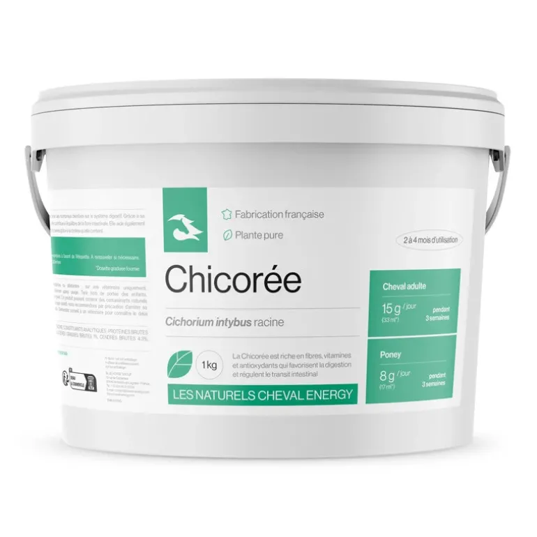 Cheval Energy Chicorée
