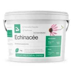 Cheval Energy Echinacée