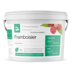 Cheval Energy Framboisier