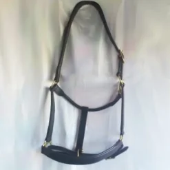 Cheval Energy Licol en Cuir - Noir