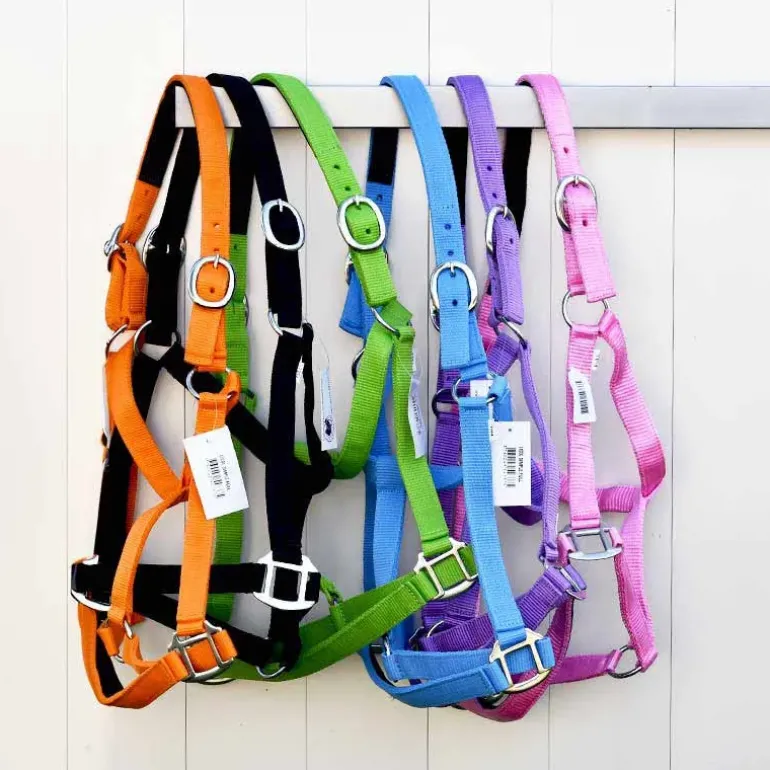 Cheval Energy Licol en Nylon - Rouge