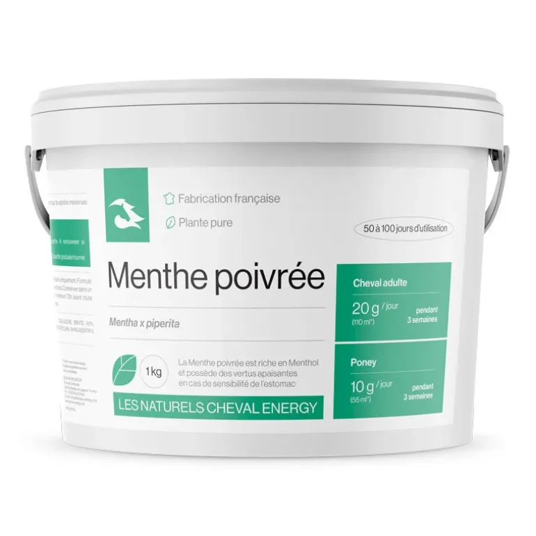 Cheval Energy Menthe Poivrée