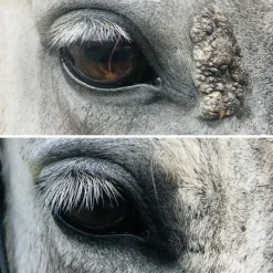 Cura Naturale Huile Excroissance Cutanée