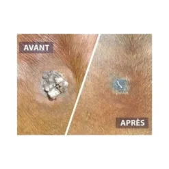 DRJ Developpement Serkyl