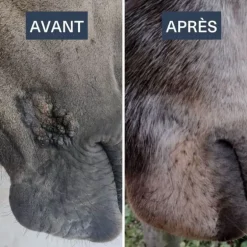 DRJ Developpement Serkyl