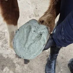 Eki-Zen Argile Sabot-Zen