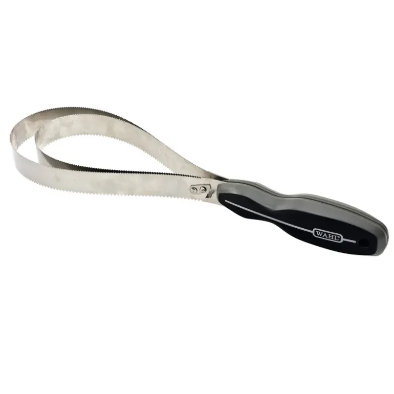 Etrille Américaine Wahl