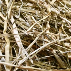 Foin Enrubanné Chevaux Ecolit Fourrage Fraicheur