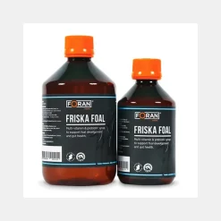 Foran Friska Foal