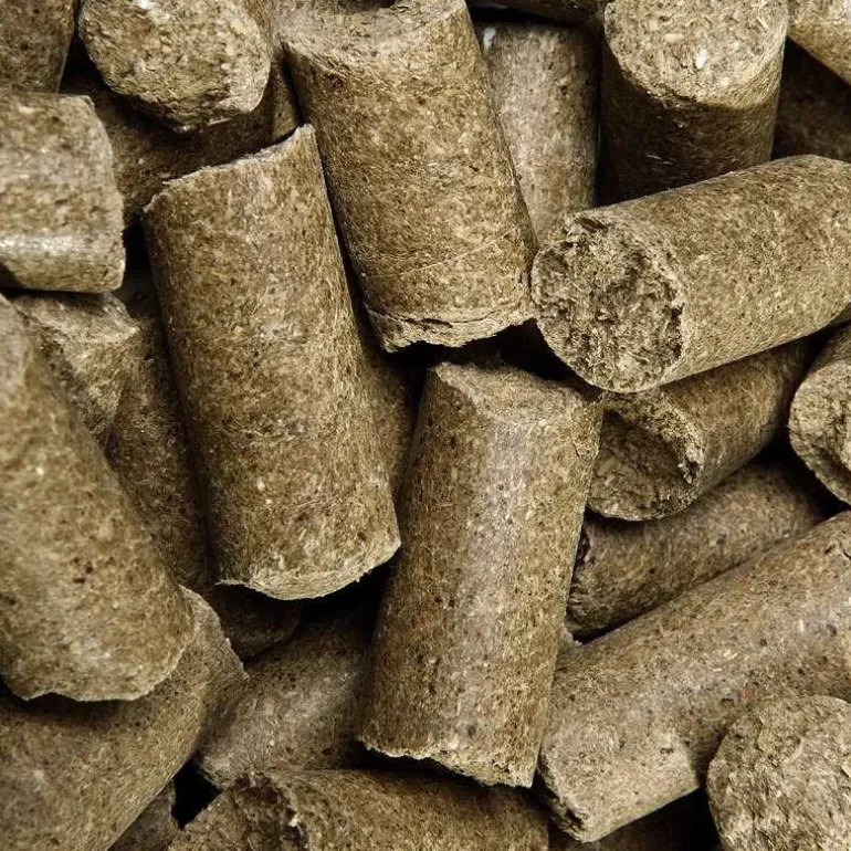 Friandise Cheval SPEED Delicious Speedies Pomme