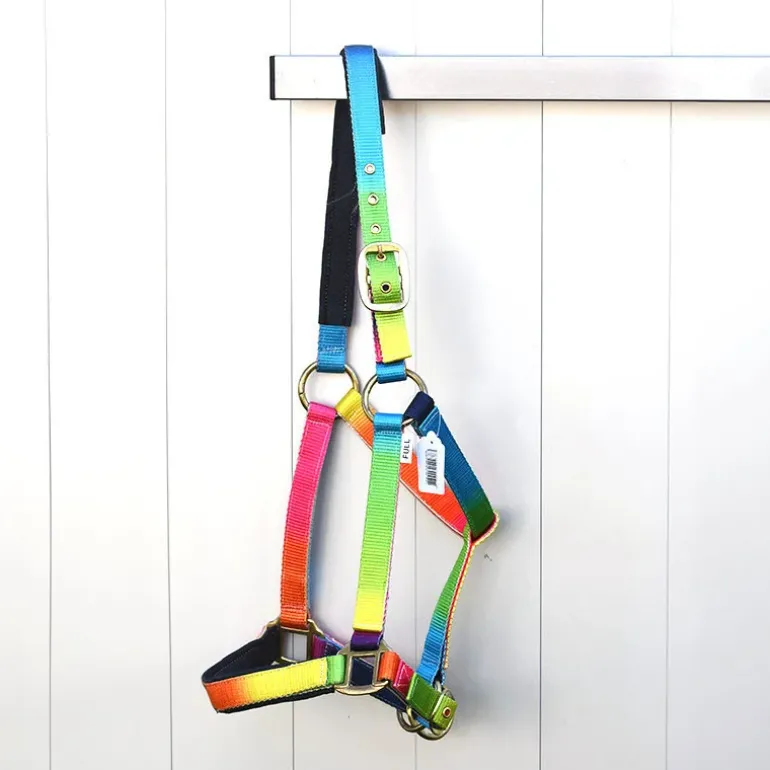 Gamme du Maréchal Licol - Multicolore