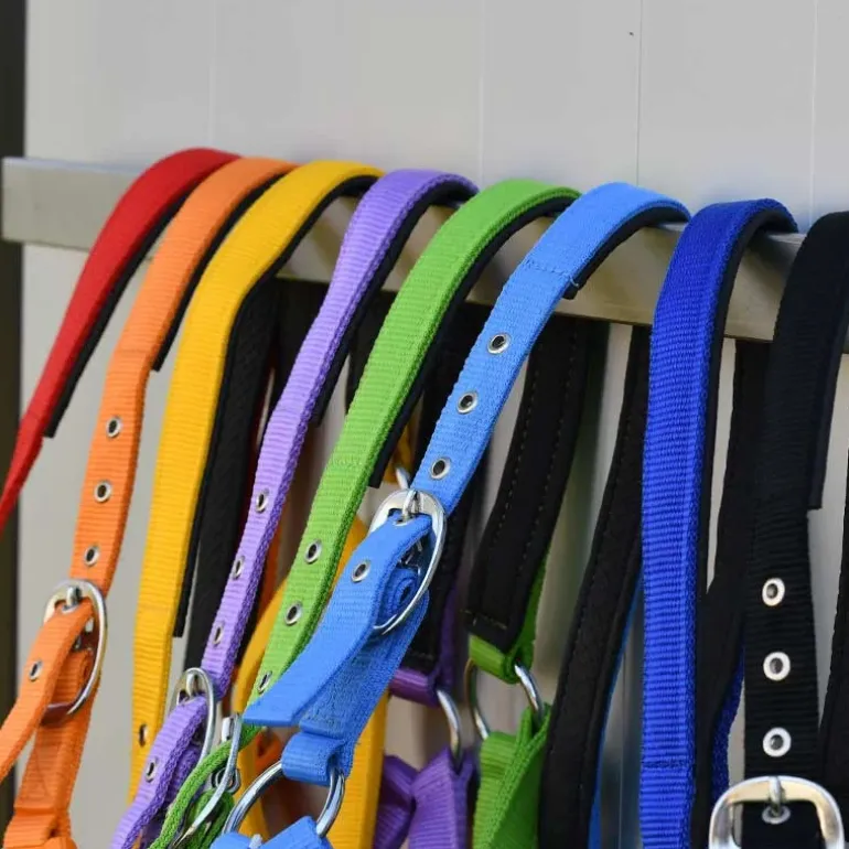 Gamme du Maréchal Licol Nylon Triple Épaisseur - Noir