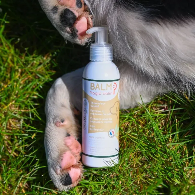 Happy Scoop - Balm Chien