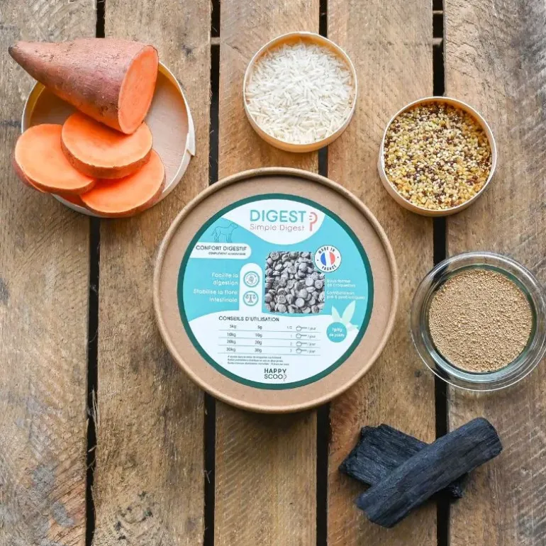 Happy Scoop - Digest Chien