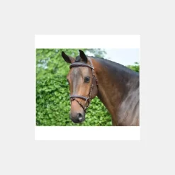 Jump'In Bridon Crystal Collection Week - Cristal Marine