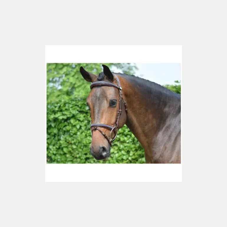 Jump'In Bridon Crystal Collection Week - Cristal Marine