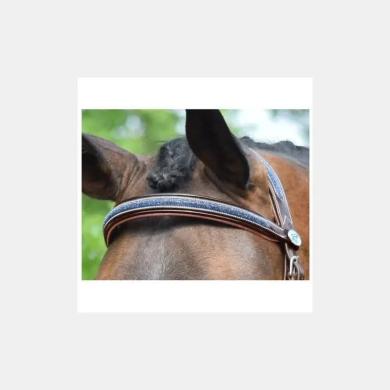 Jump'In Bridon Crystal Collection Week - Cristal Marine