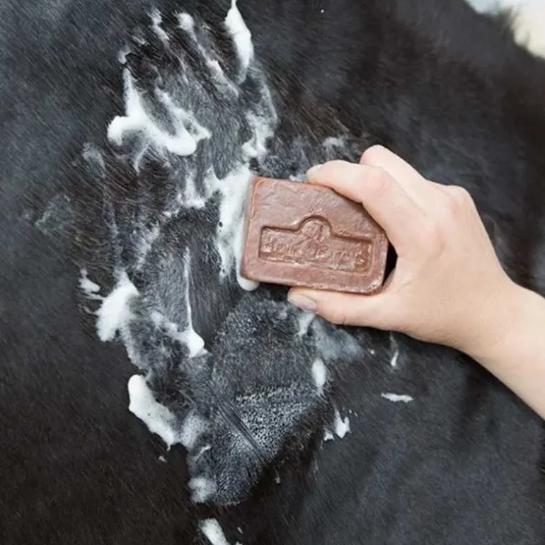 Kevin Bacon's Active Soap