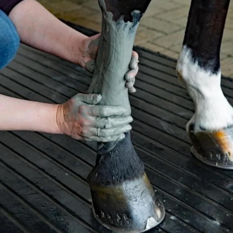 Kevin Bacon's Argile Marine de Manicouagan