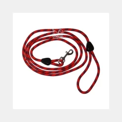 Laisse avec Poignée