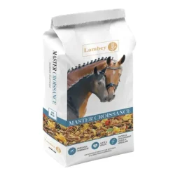 Lambey Master Croissance Floconné Poulinière & Poulain