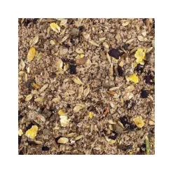 Mash Cheval SPEED Saveur Pomme