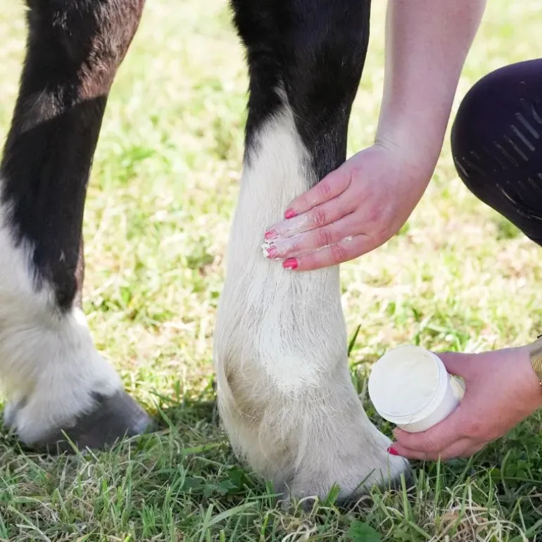 Natural Innov Natural'Sun