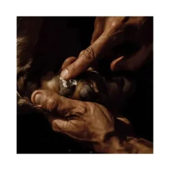 Nellumbo Baume Naturel Coussinets