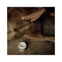 Nellumbo Baume Peaux Sensibles