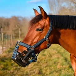 Panier Stop'Fourbure