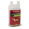 PaskaCheval Algua Detox Drainage Cheval