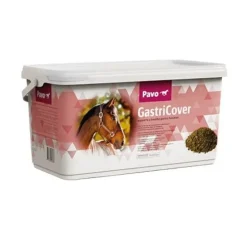 Pavo GastriCover