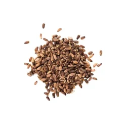 Phytology VetCare Chardon Marie pur Détox Cheval