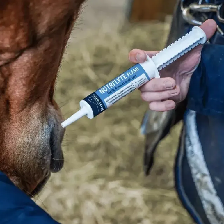 Ravene Nutrilyte Flash