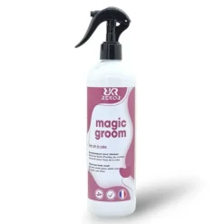 Rekor Magic Groom