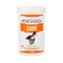 Reverdy Care Ulcere Cheval