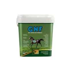 TRM GNF Ulcère Cheval