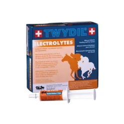 Twydil Electrolytes Seringue ou Poudre
